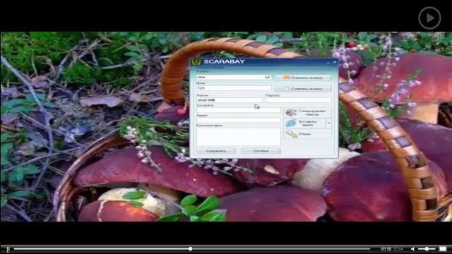 менеджер паролей для windows смотреть онлайн