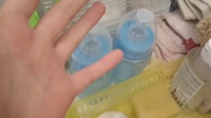 ЧТО ВЗЯТЬ БАСИКАМ В ДОРОГУ И НА ПРОГУЛКУ?!