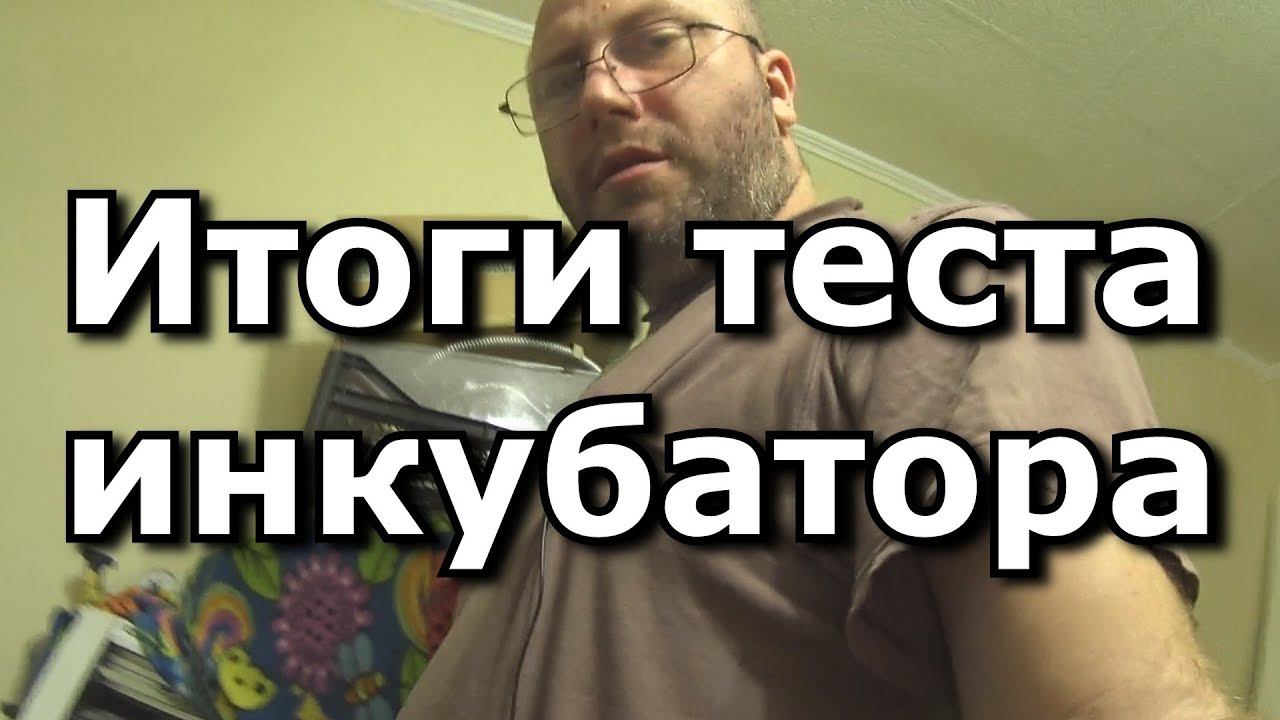 Итоги первого теста инкубатора.