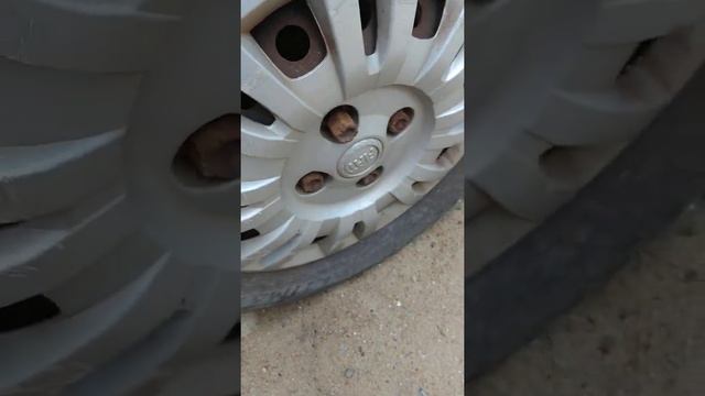 Dewalt DCF922... Um Monstro!!!