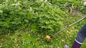 Триммер аккумуляторный деко dktr21. Купил жене подарок.   Жена косит траву.