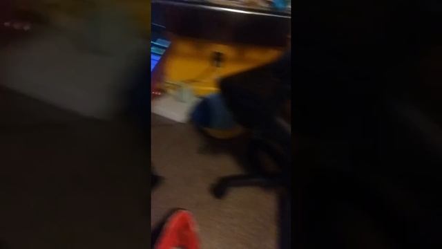 EXTREME BASS ON SONY SRS-XB31 смотреть онлайн