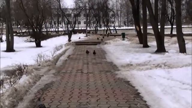 ГУЛЯ ГУЛЯ ГУЛЯ ГУЛЯ. Старая Русса. смотреть онлайн