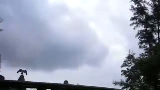 Jason Boras and Leroy at Sunway Lagoon Kuala Lumpur Malaysia avi смотреть онлайн