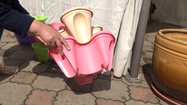 Высадка петуний в открытый грунт. Что необходимо для пышного цветения петунии. Вазоны - конструктор смотреть онлайн