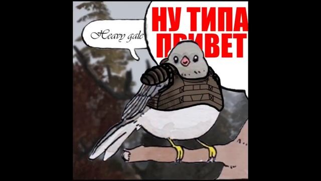 Ну типа привет  Голубь и ворон STALKER  TOP COUB To Music   Join