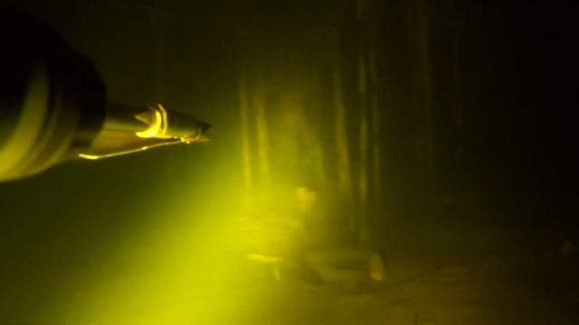 Подводная охота на неизвестном водоеме смотреть онлайн