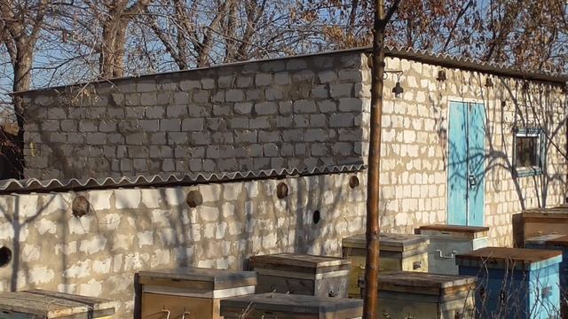 Как сохранить сушь,сотовые рамки от моли/Мой метод хранения суши смотреть онлайн