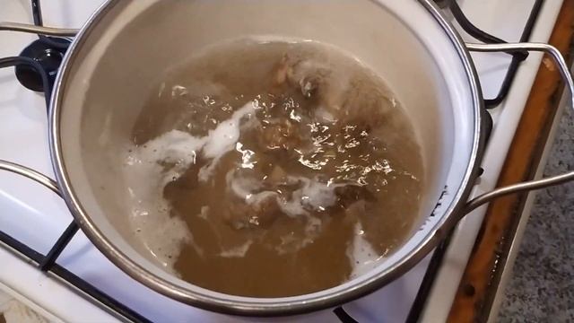 Строчок гигантский (Gyromitra gigas). Гриб на месте произрастания, при приготовлении и на вкус. смотреть онлайн