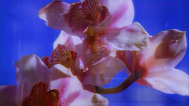 2 Unlimited - Nothing Like The Rain (1995) (HD Remasetered) смотреть онлайн