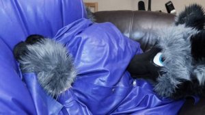 Blueberry Xandiel Rolls Off His Couch!