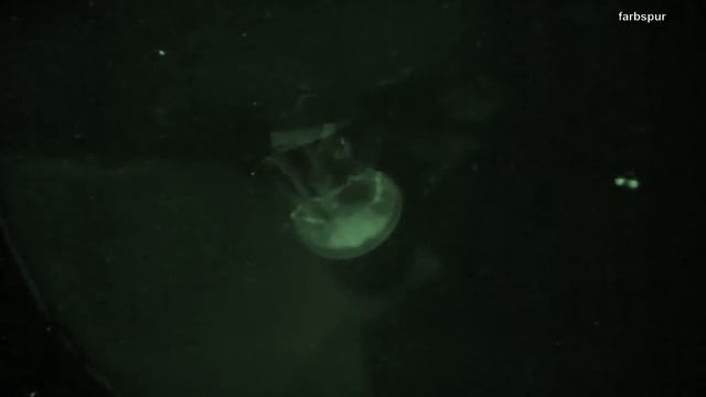 Tibetanische Klangschalen Musik 1.Phase (Meditation, Yoga, Music) Chillout Singing Bowls Music