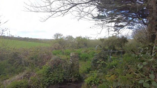 Madron Well and Chapel - 2 sacred sites in West Cornwall смотреть онлайн