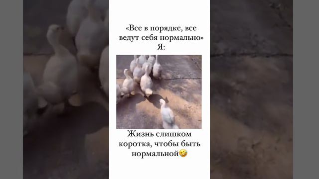 На расслабоне смотреть онлайн