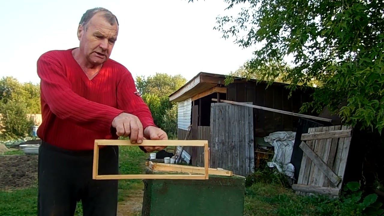 Моя ловушка для пчел. смотреть онлайн