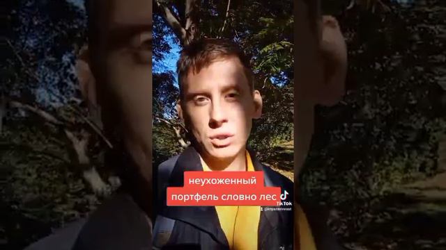 Что такое неухоженный инвестиционный портфель? смотреть онлайн