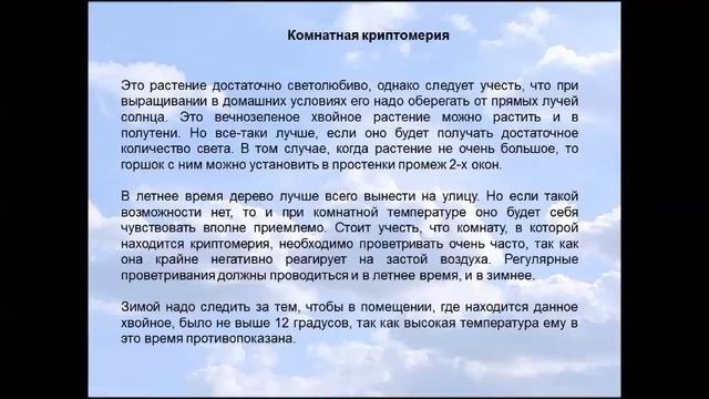 Криптомерия смотреть онлайн