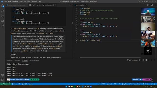 W2D3: Inheritance in Python (2 of 2) смотреть онлайн
