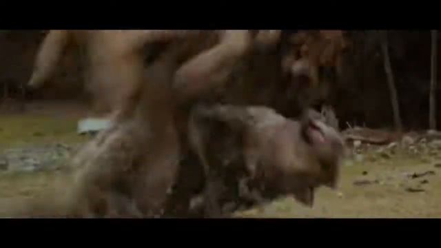 Jacob Black Animal I Have Become The Twilight Sagavia torchbrowser com смотреть онлайн