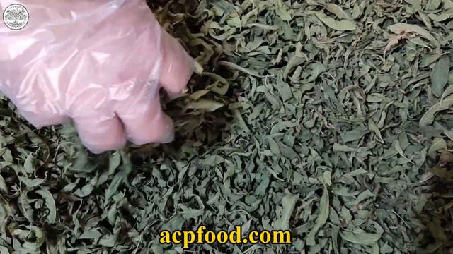New Stock Lemon Verbena Leaves смотреть онлайн