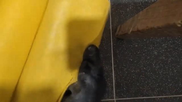 Как удалить эпоксидную затирку. Испортил плитку эпоксидной затиркой смотреть онлайн