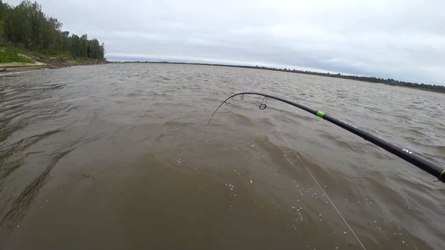 УБОЙНАЯ РЫБАЛКА! Трофей братьев ,долгожданный ЖОР на смене погоды! Щука и судак на джиг смотреть онлайн