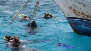 15🔴Vlog ❤Coral Beach Hurgada resort 4*/Вспоминаем море на карантине/Дайвинг/Egypt/Diving