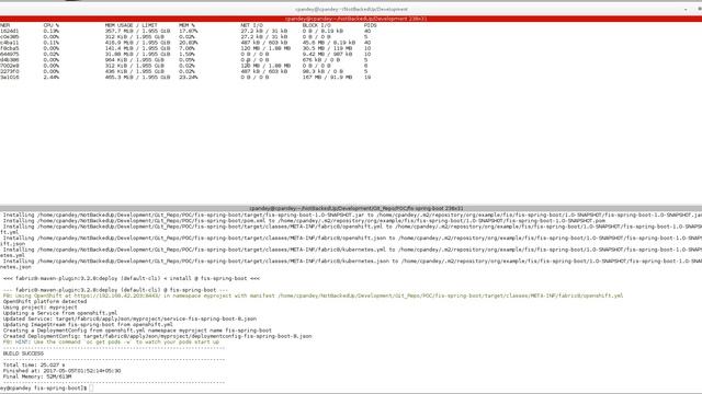 FIS2.0 container's Memory and CPU configurations смотреть онлайн