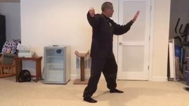U.S. TAI CHI ACADEMY - Lesson Twenty (Gary) смотреть онлайн