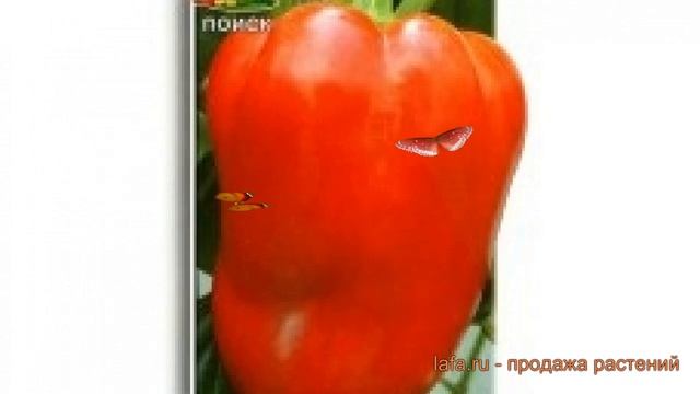 Перец сладкий Винни-Пух (vinni-pukh vinni-pukh) ? обзор: как сажать, семена перца Винни-Пух смотреть онлайн