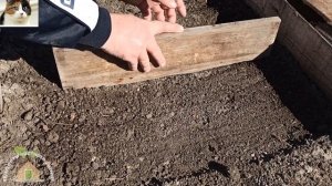 Чабер ароматный выращивание из семян. Как сажать чабер садовый