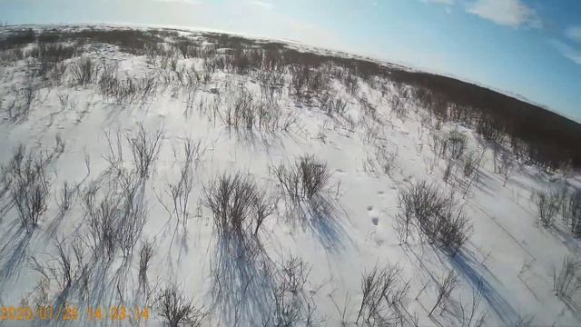 Охота на зайца по кустарникам смотреть онлайн