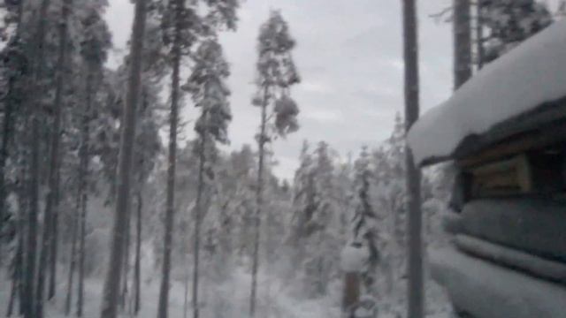 ГЕРАСИМ ШЕРП И МИШАНЯ ЛОВЯТ РЫБУ/КАКАЯ ОНА ЛЕСНАЯ ИЗБУШКА смотреть онлайн