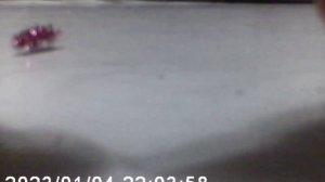 мормышка - муха своими руками