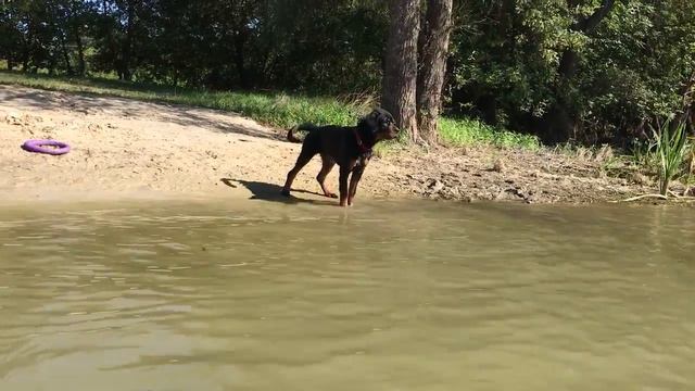 Первая речка смотреть онлайн