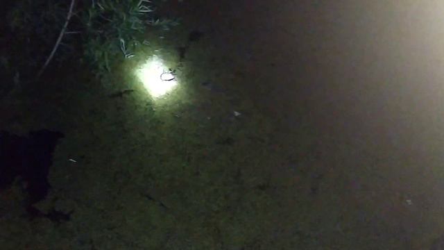 вода подбирается к дому . лпх дом велеса жизнь за городом. смотреть онлайн