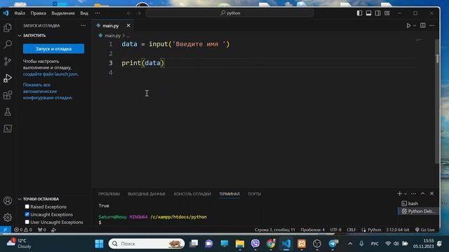 Урок 320. Ввод данных с клавиатуры. Python смотреть онлайн