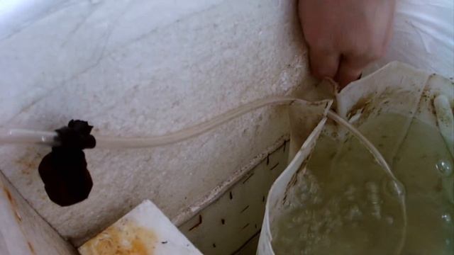 Как сохранить живца в квартире смотреть онлайн
