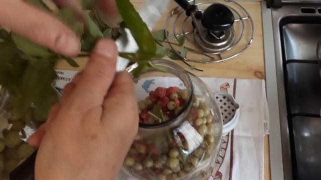 Мохито.Компот с крыжовника.Оочень вкусно? смотреть онлайн