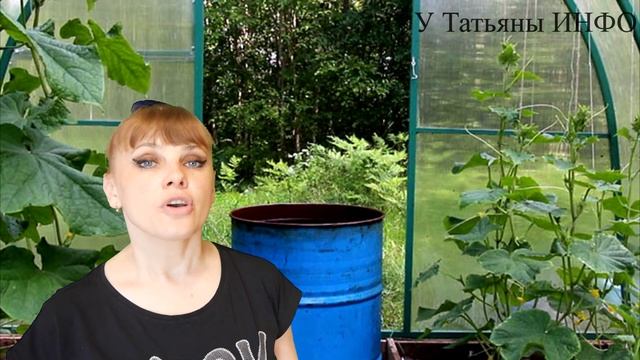 ПЛОХО РАСТУТ ОГУРЦЫ // ЧТО Я ДЕЛАЮ НЕ ТАК? смотреть онлайн