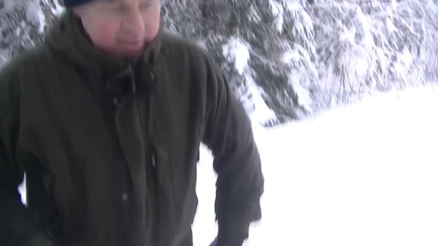 Дневные и ночные, пешие и моторизированные, одиночные и групповые прогулки по зимнему лесу смотреть онлайн