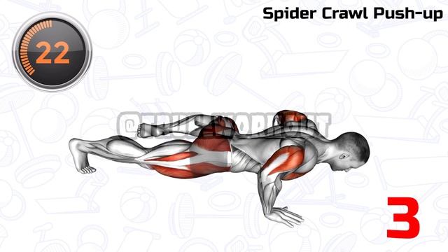 Best Home Workouts Exercises Without Equipment