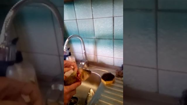 Чистим Окуня 5 секунд. смотреть онлайн