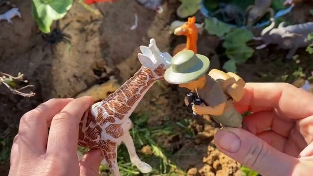 #Жираф Только самые интересные факты о жирафе с исследователем Тишей смотреть онлайн