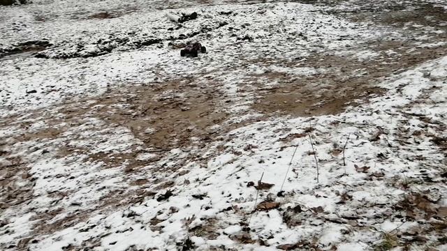 Радиоуправляемый монстр REMO HOBBY MMAX