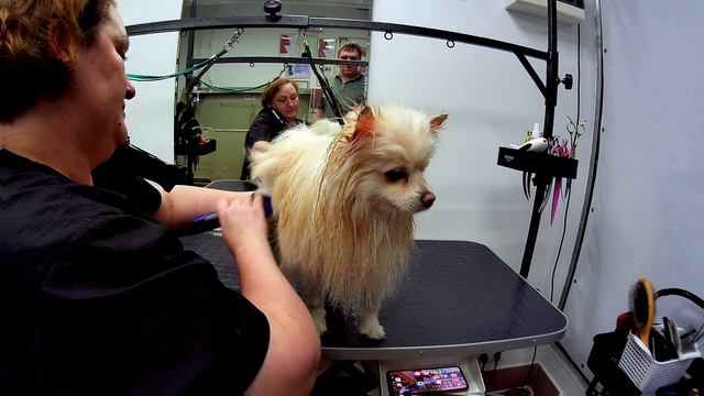 Комплексный уход. смотреть онлайн