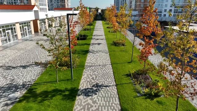 ГК ТОЧНО - Аллея в ЖК «Белые Росы» смотреть онлайн