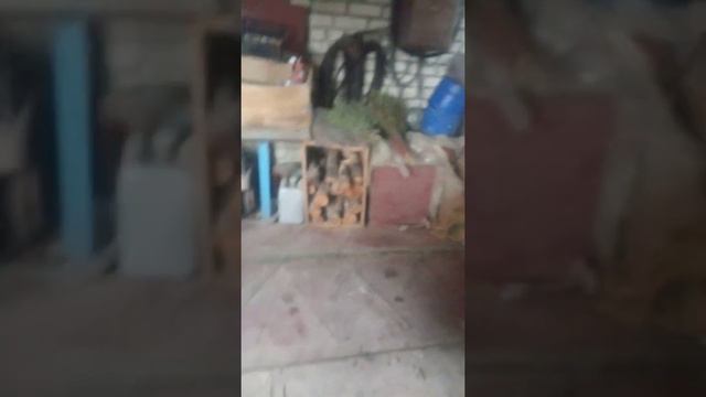 Меч 3 часть. Рукоять. смотреть онлайн