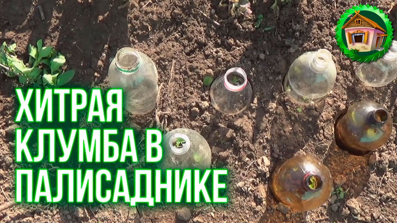 Посадка цветов. Олюшка Сажает Цветы в Палисаднике. 75 серия смотреть онлайн