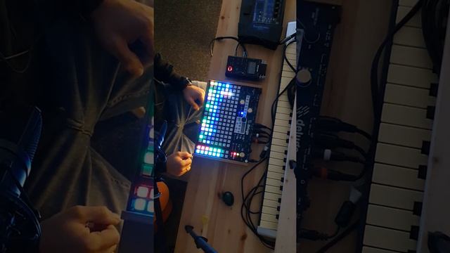 Deluge Looper Performance - "In Ruhe" смотреть онлайн